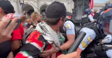 Pro-Hamas protesters take down US flags in DC â police deploy pepper spray to stop mob chase: Video